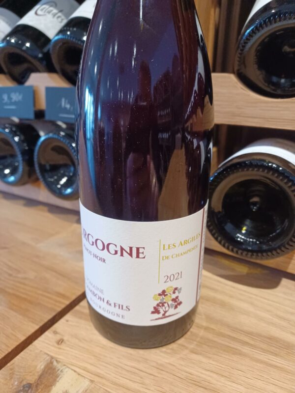 AOC BOURGOGNE PINOT NOIR DOMAINE MARC JAMBON "LES ARGILES DE CHAMPENDI" 2021