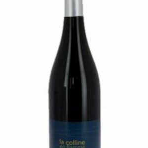 AOC COTE ROANNAISE DOMAINE DES POTHIERS "COLLINE EN FLAMME" 2022