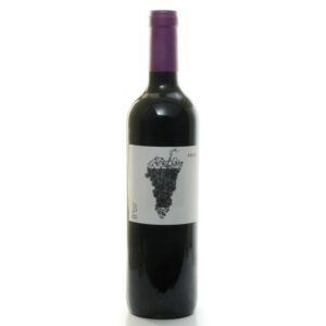Vin de France Domaine le Jonc blanc "Fruit" 2020 75cl