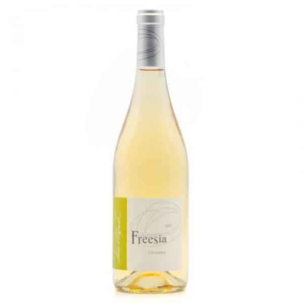 IGP CEVENNES MAS ESPANET FREESIA BLANC